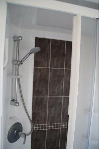 eine Dusche in einem Badezimmer mit gefliestem Boden in der Unterkunft J 217 in Petten