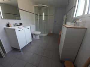 a bathroom with a shower and a toilet and a sink at Appartement aux portes de Genève non PMR in Collonges-sous-Salève +23 photos