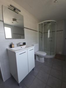 a bathroom with a toilet and a sink and a shower at Appartement aux portes de Genève non PMR in Collonges-sous-Salève