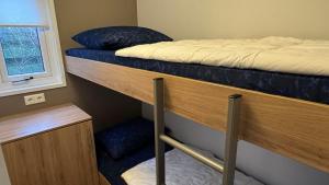ein paar Etagenbetten in einem Zimmer in der Unterkunft J 106 in Petten