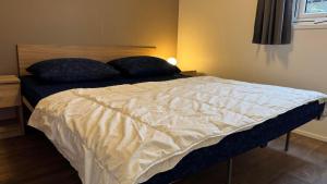 ein Schlafzimmer mit einem Bett mit weißer Bettdecke in der Unterkunft J 106 in Petten + 8 Fotos