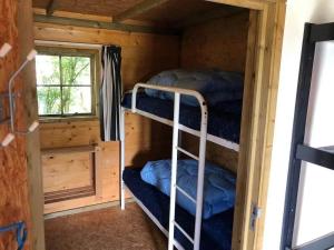 a room with two bunk beds in a cabin at Kampeerhut in Petten