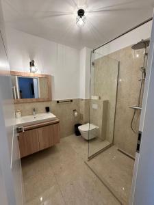 Un baño con ducha, inodoro y lavabo. en FLH - Garden Residence, en Sibiu