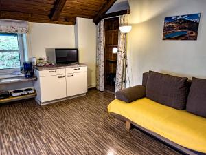 TV a/nebo společenská místnost v ubytování Appartements Pircher