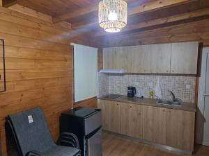 a kitchen with wooden walls and a chair and a sink at Eco Wooden Olympic view Village in Leptokaria +3 photos