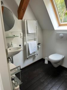 a bathroom with a sink and a toilet and a window at Park Residence Bei Wu in Wesenberg