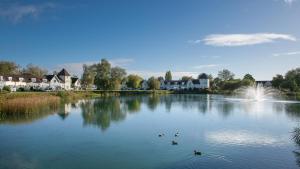 a lake with three ducks in the water at Venture Lakeside Lodge in South Cerney
