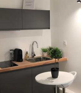 a kitchen with a sink and a table with a potted plant at Ideally located studio Foch & Parc de la Tête d’Or in Gare des Brotteaux