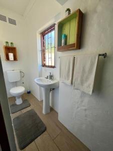 a bathroom with a sink and a toilet and a window at Green Hollow Self catering in Knysna +10 photos
