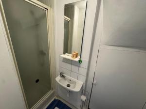 Un pequeño baño con lavabo y ducha. en T2 reposant Beauvais, en Beauvais