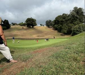a group of people playing golf on a golf course at Apart. Madeira 4 you in Funchal
