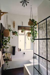 a bathroom with potted plants hanging from the ceiling at Mid-Century charm in the heart of Stroud in Stroud