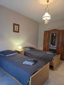 een slaapkamer met 2 bedden en een kroonluchter bij La maison du temps suspendu in Menetou-Râtel