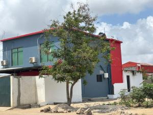 una casa con un árbol delante en Guest House Bobonito, en Beira