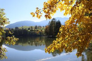 a view of a lake with mountains in the background at Ritzenhof - Hotel und Spa am See 4-Sterne-Superior in Saalfelden am Steinernen Meer