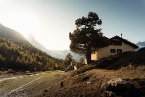 une maison au bord d'une colline avec un arbre dans l'établissement Berghaus Grünsee, à Zermatt