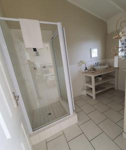a bathroom with a shower and a sink at Avillahouse Guesthouse in Durban