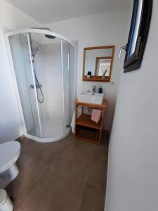 a bathroom with a shower and a sink and a toilet at Stagnolo in Capo Toro