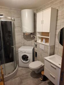 Un baño con lavadora y lavadora. en Appart Dilda, en Rixheim
