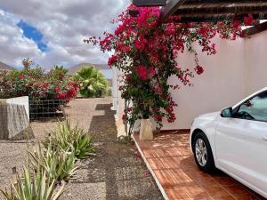 Κήπος έξω από το Villa spacieuse et lumineuse avec piscine Chauffée