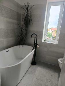 Gallery image of Noclegi Jak u Babci in Nowe Miasto