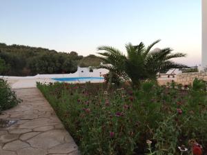 The swimming pool at or close to Cavo Plako Villas