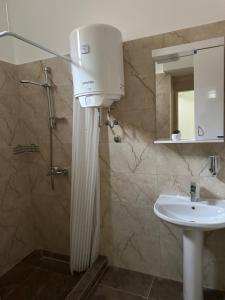 a bathroom with a shower and a sink at Apartman Milanović in Pribojska Banja