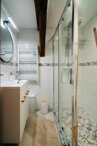 a bathroom with a shower and a sink at Chai d'oeuvre in Dambach-la-Ville