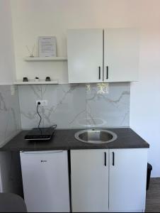 Kuchyň nebo kuchyňský kout v ubytování Apartman Milanović