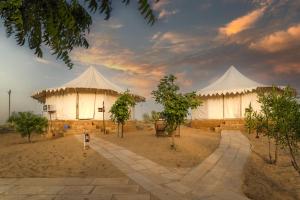 two large white tents with trees in a field at Wild Heritage Desert Camp in Jaisalmer