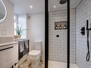 a bathroom with a toilet and a shower at 3 Bed in Amberley 89898 in Woodchester +19 photos