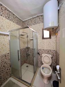 a bathroom with a shower and a toilet at Spacious Villa near Ma'in Hot Springs & Mount Nebo in Umm Juraysāt +20 photos