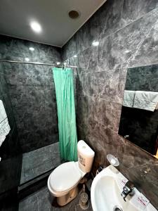 een badkamer met toilet, douche en wastafel bij Tatev in Jerevan