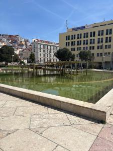 a pond of green water in a city with buildings at Ranjeet felizarda in Lisbon