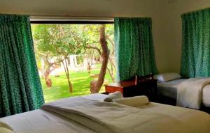 a bedroom with two beds and a window with green curtains at Sun Farm Retreat in Auroville