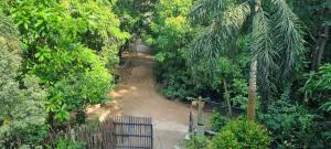 un camino de tierra en un bosque con una valla en place of the jungle, en Hiriketiya