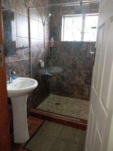 a bathroom with a shower and a sink at The Deyzel House in Durban