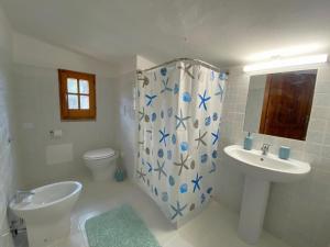 a bathroom with a sink and a toilet and a shower at Il Nido del Falco in Pula