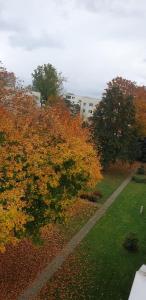 a park with trees with orange leaves and a sidewalk at Komfortable 2-Zimmer-Monteurwohnung für 4 Personen in Leipzig in Leipzig +3 photos