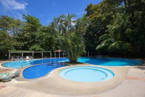 a large swimming pool with a palm tree in the middle at Waterfront 16D seaview 2 BR apartment - 5 min walk to Karon beach in Karon Beach