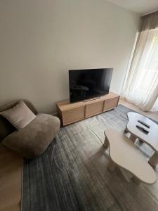 a living room with a chair and a tv at Charmant appartement aux portes de Strasbourg in Oberhausbergen +1 photo