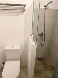 a bathroom with a toilet and a shower at nulacaz in Rose Hill +2 photos
