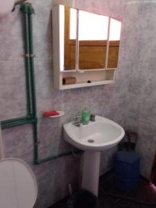 een badkamer met een wastafel en een spiegel bij Guiñazú in Junín