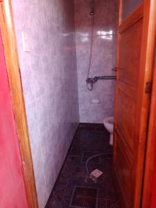 een badkamer met douche en toilet bij Guiñazú in Junín