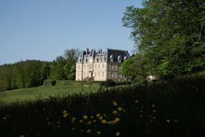 a large house on a hill with a field of flowers at Château des Faugs in Boffres