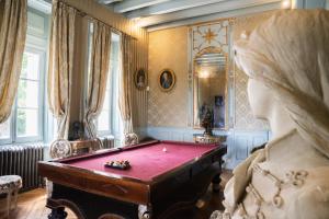 a billiard room with a pool table in it at Château des Faugs in Boffres