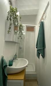 a white bathroom with a sink and a shower at Saint-Mandé studio, proche metro Ligne 1 & Paris Centre, Wifi rapide, Ideal couple, télétravail in Saint-Mandé +17 photos