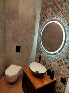 a bathroom with a sink and a toilet and a mirror at Agroturystyka Pod Orzechem in Lubiąż