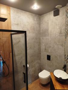 a bathroom with a toilet and a sink at Agroturystyka Pod Orzechem in Lubiąż +2 photos