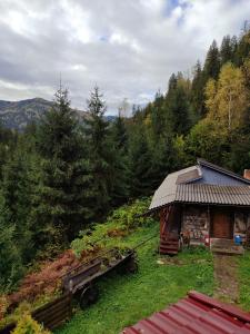 Příroda nedaleko prázdninového domu